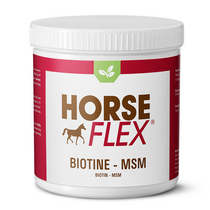 Biotine-MSM - 600g | HorseFlex