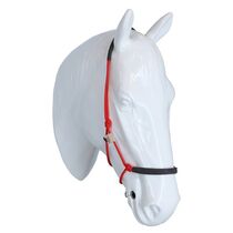 Licol de travail en nubuck et nylon 6 mm F.R.A. capal - COB rouge