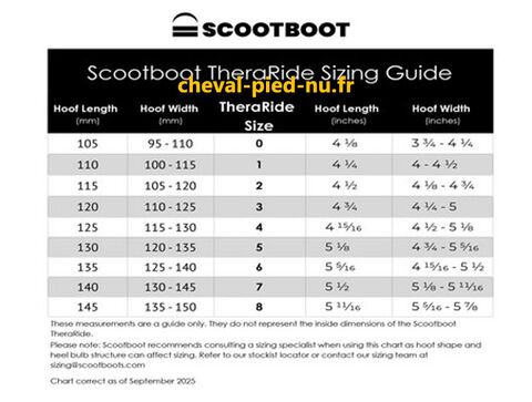 Guide des tailles et Conseil d'expert sizing kit