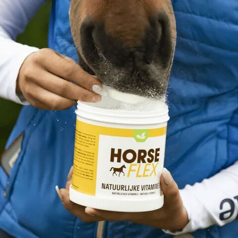 Vitamine E naturelle 270 g I Horseflex