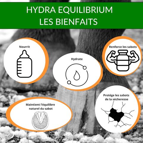 Hydra Equilibrium - LO Equilibrium
Hydra Equilibrium - Hydratation et Protection pour les Sabots