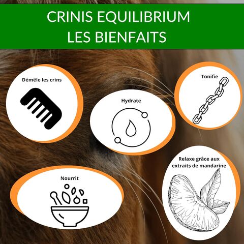 Crinis Equilibrium
Démêlant aux agrumes pour crinière et queue