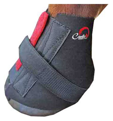 Cavallo paire de protèges paturons M