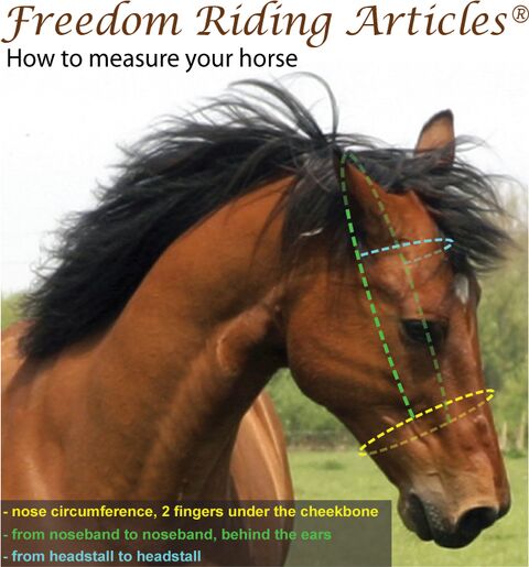 Sidepull et rênes Pardoes de luxe black-orange CHEVAL- FRA