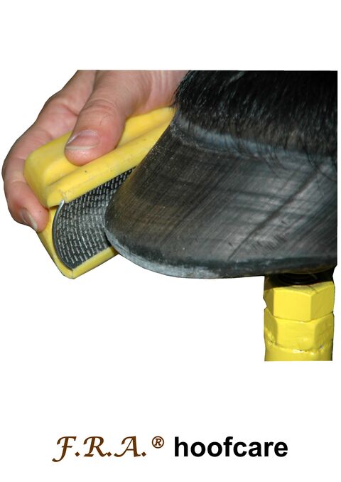 Rape de parage rouge grosses dents - FRA