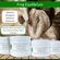 Frog Equilibrium - Soin Naturel pour la Fourchette du Cheval