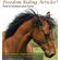 Sidepull et rênes Pardoes de luxe black-orange CHEVAL- FRA