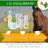 Hydra Equilibrium - LO Equilibrium
Hydra Equilibrium - Hydratation et Protection pour les Sabots